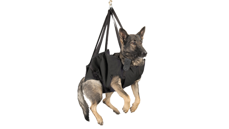 Illustration for article titled 7 Tools to Build the World's Greatest POLICE DOG